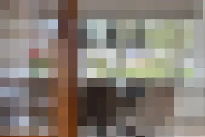 Botter 18 Wieringerwerf thumbnail 18