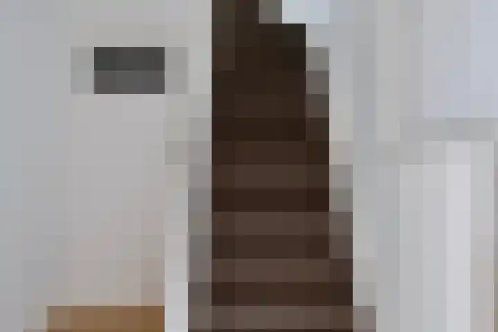 Botter 18 Wieringerwerf foto 2