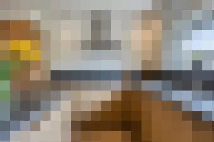 Botter 18 Wieringerwerf thumbnail 21