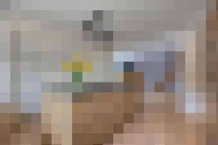 Botter 18 Wieringerwerf thumbnail 22