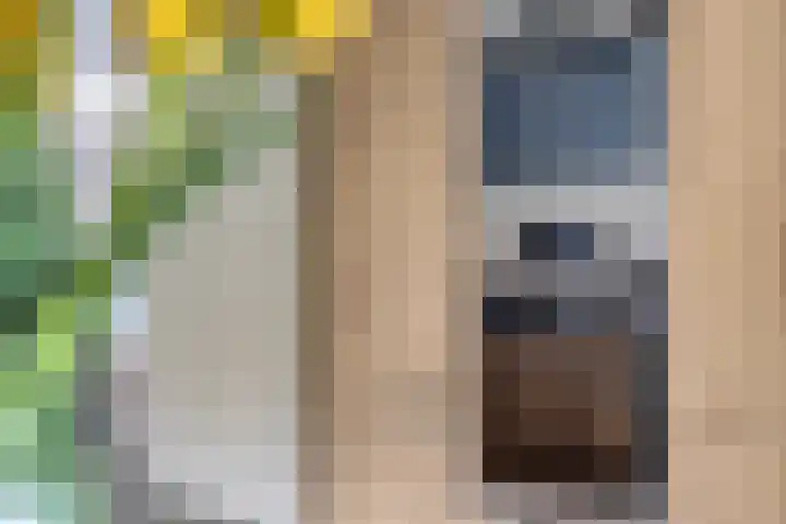 Botter 18 Wieringerwerf thumbnail 24