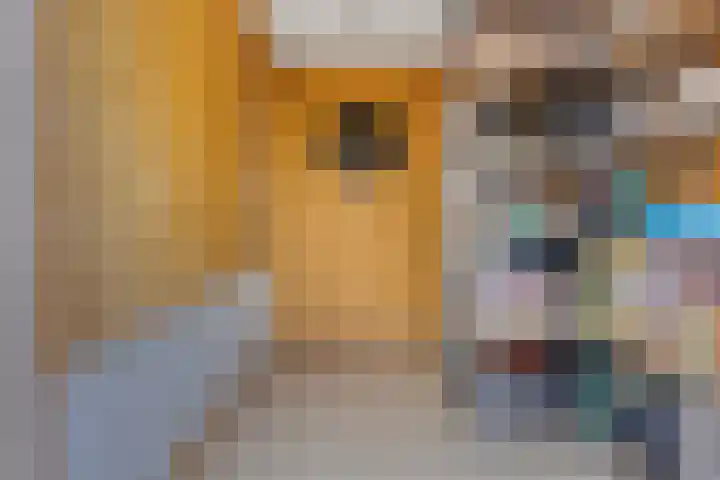 Botter 18 Wieringerwerf thumbnail 28