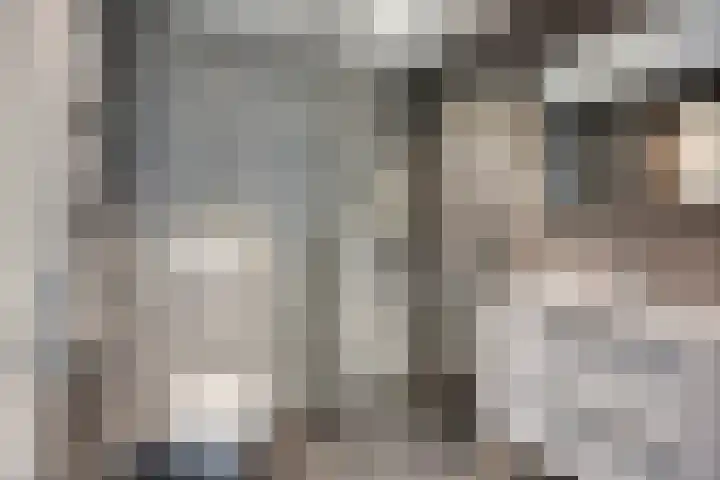 Botter 18 Wieringerwerf thumbnail 32