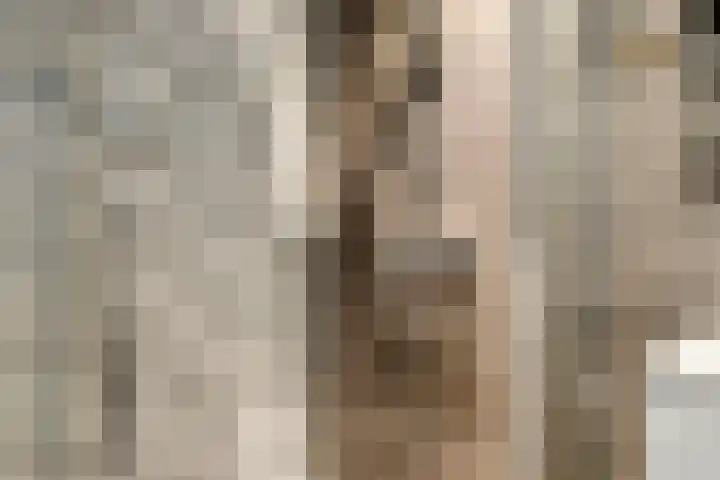 Botter 18 Wieringerwerf thumbnail 34
