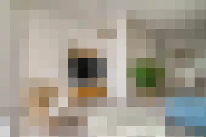 Botter 18 Wieringerwerf thumbnail 36