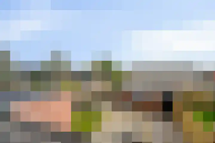 Botter 18 Wieringerwerf thumbnail 37