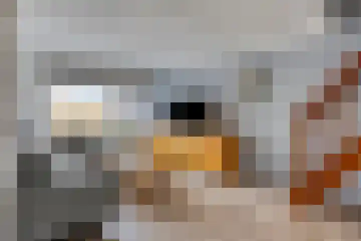 Botter 18 Wieringerwerf thumbnail 4