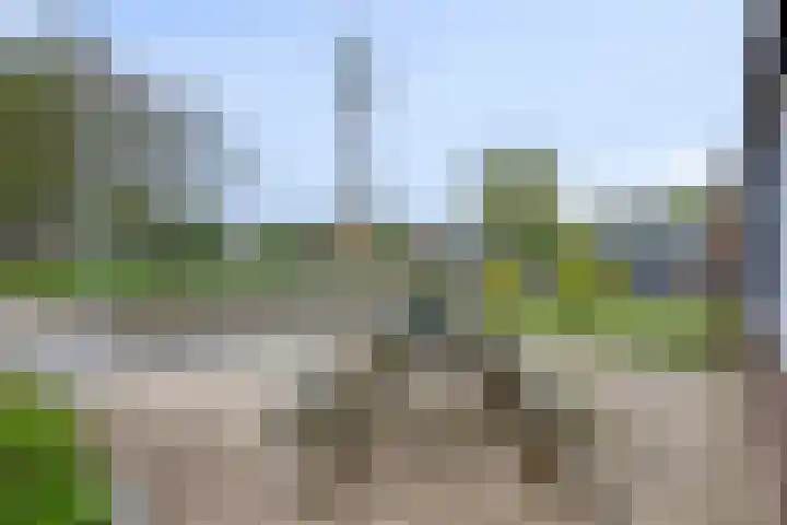 Botter 18 Wieringerwerf thumbnail 44