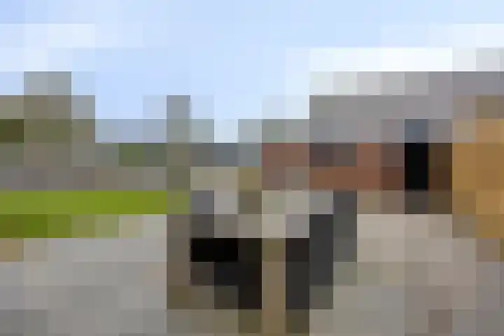 Botter 18 Wieringerwerf thumbnail 46