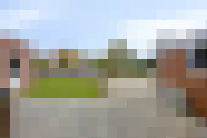 Botter 18 Wieringerwerf thumbnail 47