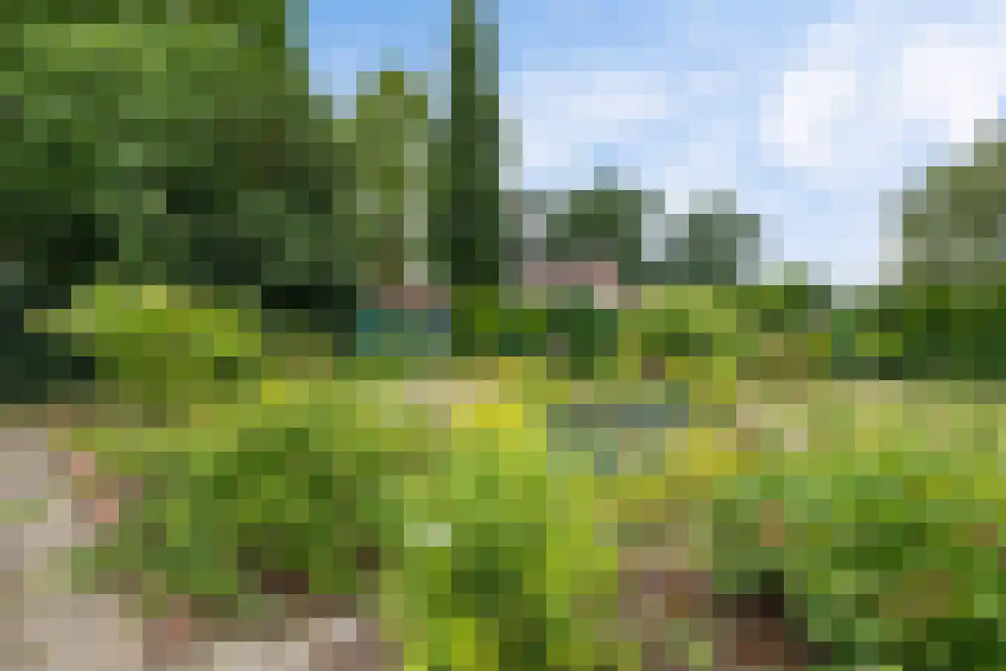 Botter 19 19 Lelystad thumbnail 44