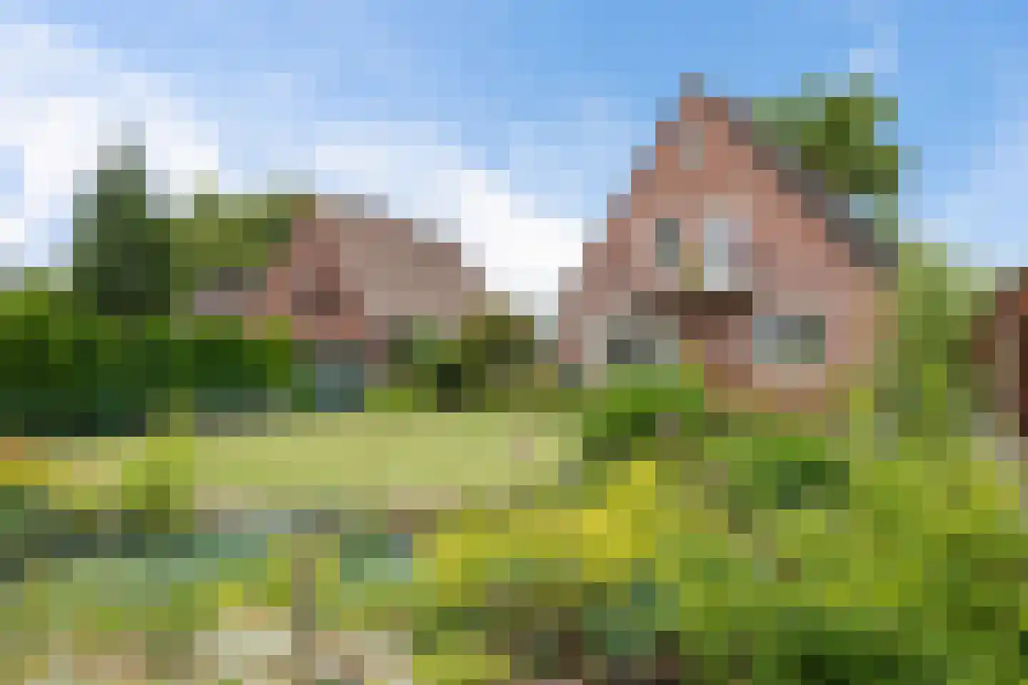 Botter 19 19 Lelystad thumbnail 45