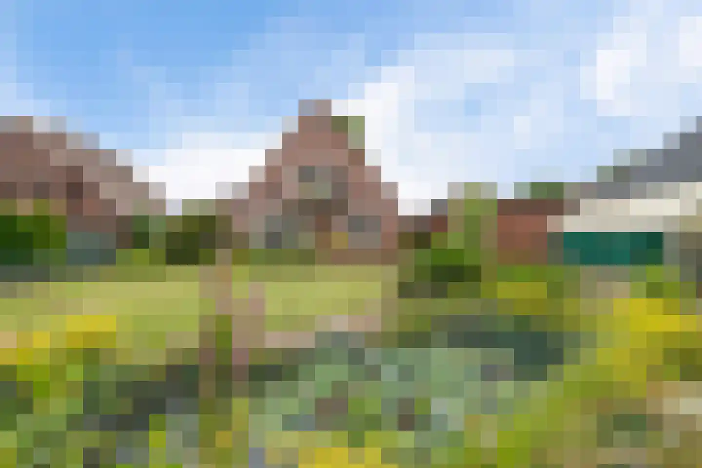 Botter 19 19 Lelystad thumbnail 46