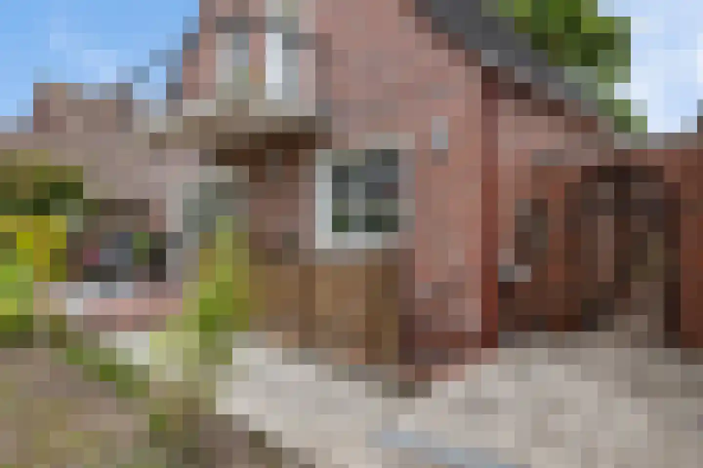 Botter 19 19 Lelystad thumbnail 50