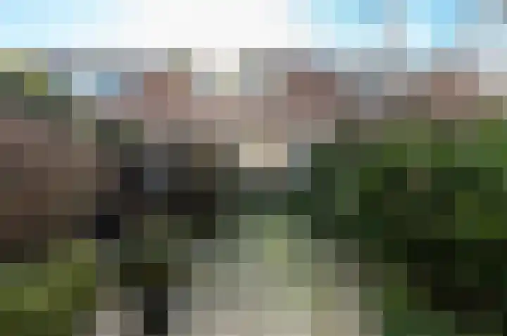 Botter 19 3 Lelystad thumbnail 33