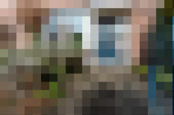 Botter 19 3 Lelystad thumbnail 36