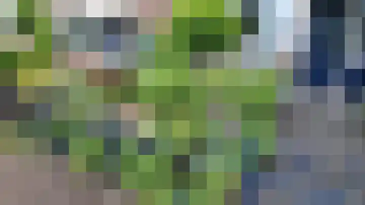 Botter 19 3 Lelystad thumbnail 39