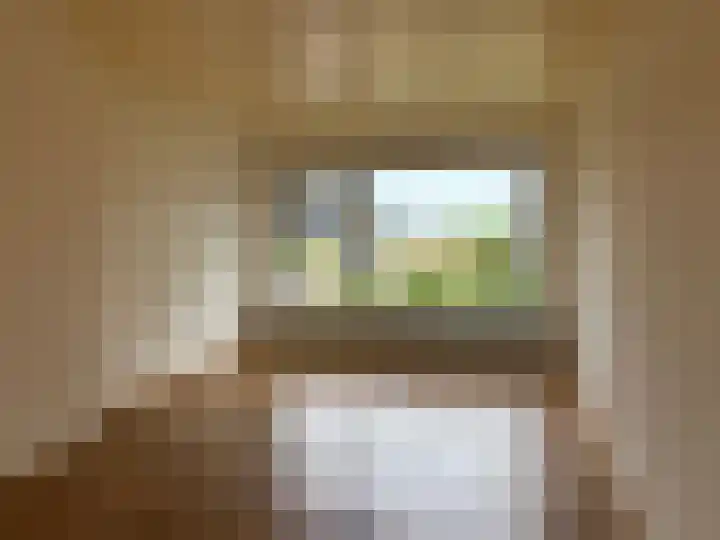 Botter 20 Lemmer thumbnail 8