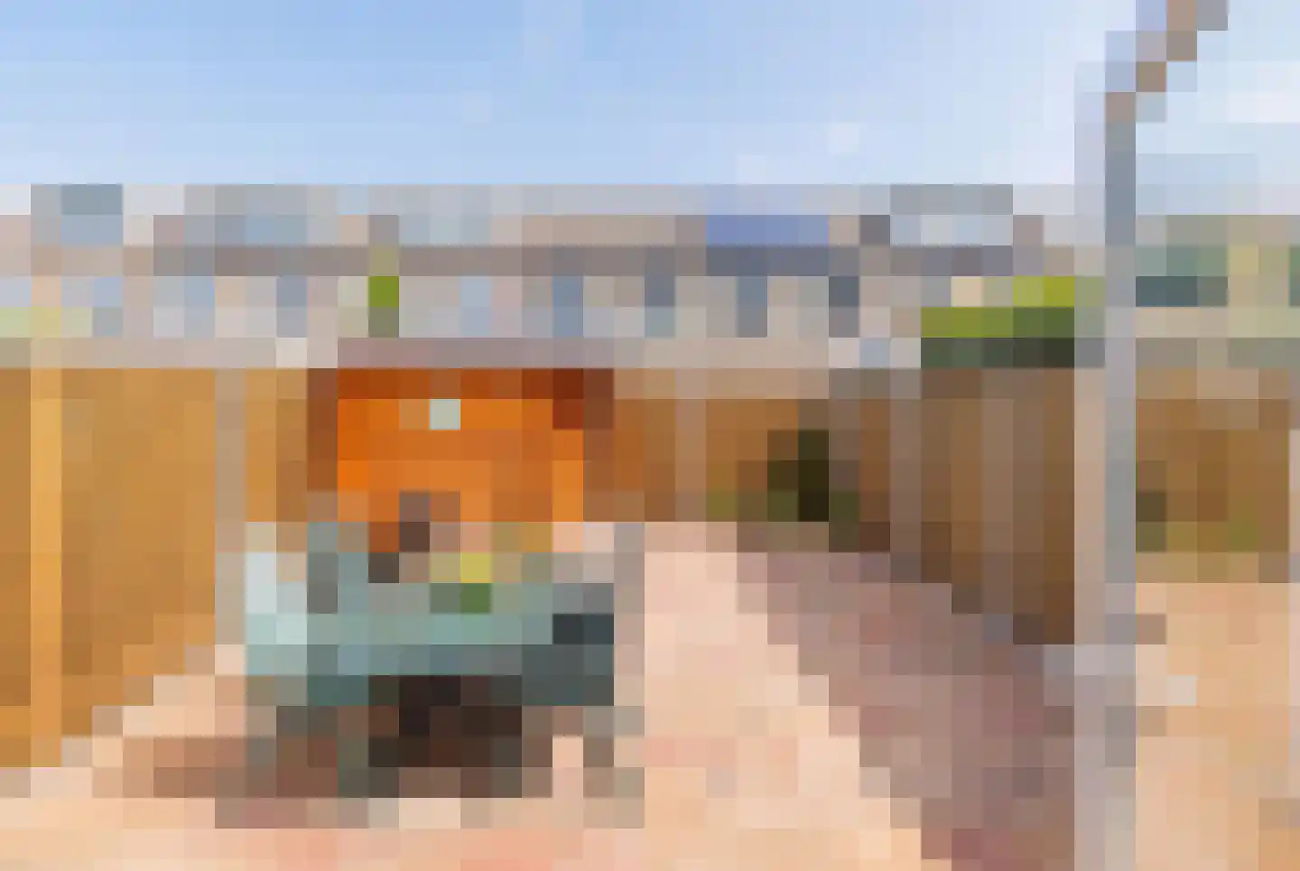 Botter 20 Velserbroek thumbnail 9