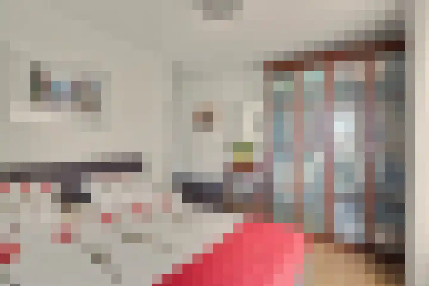 Botter 21 Alblasserdam thumbnail 16