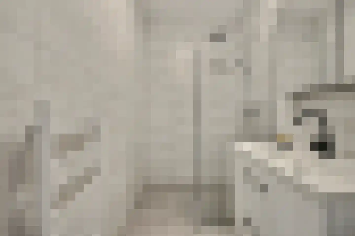 Botter 21 Alblasserdam thumbnail 18