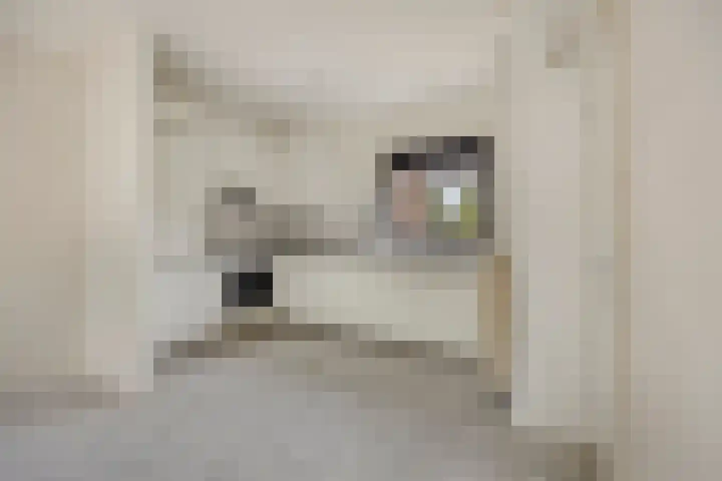 Botter 21 Hoorn thumbnail 11