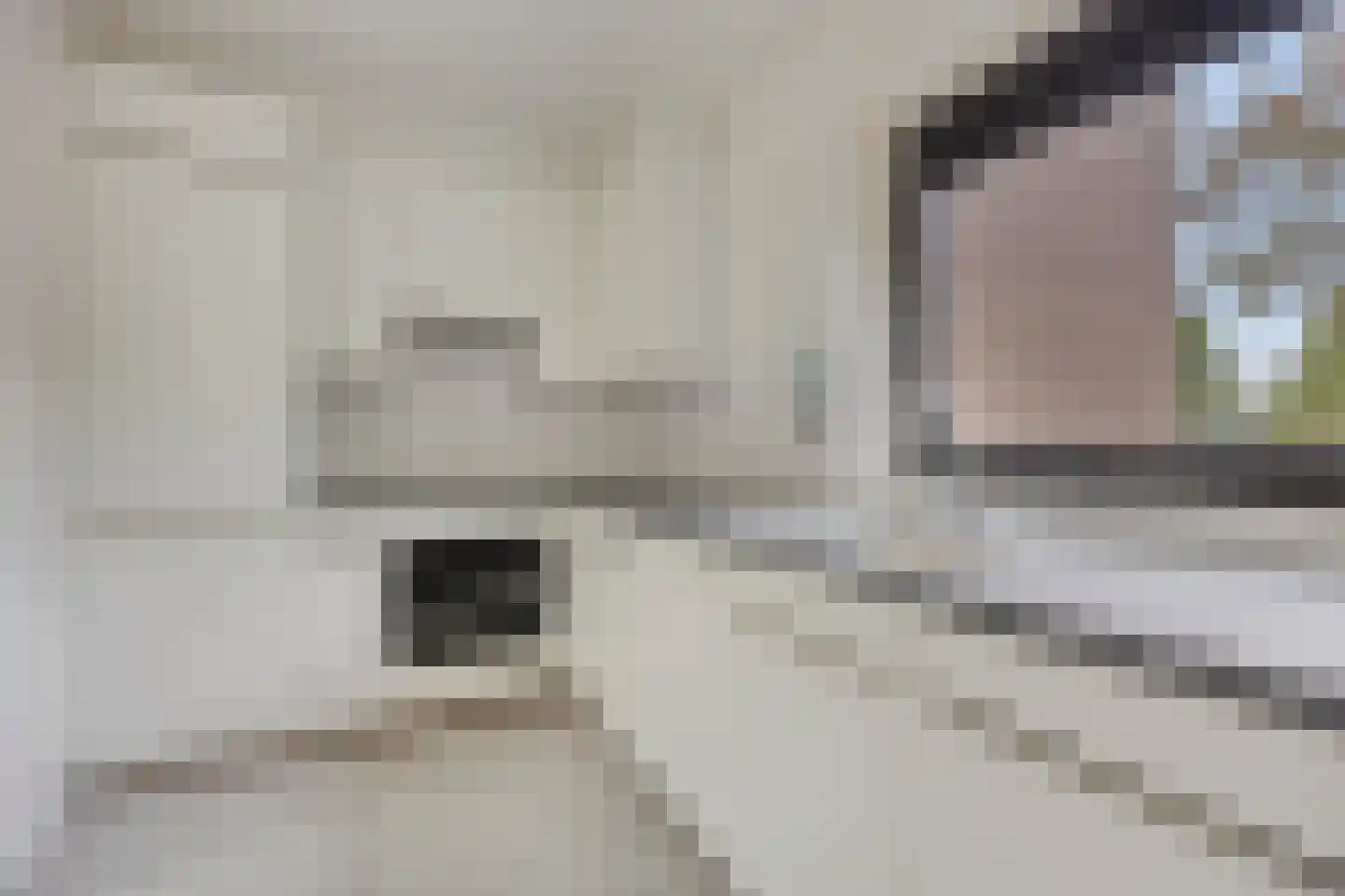 Botter 21 Hoorn thumbnail 13