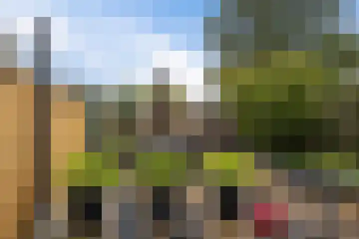 Botter 22 22 40 Lelystad thumbnail 31