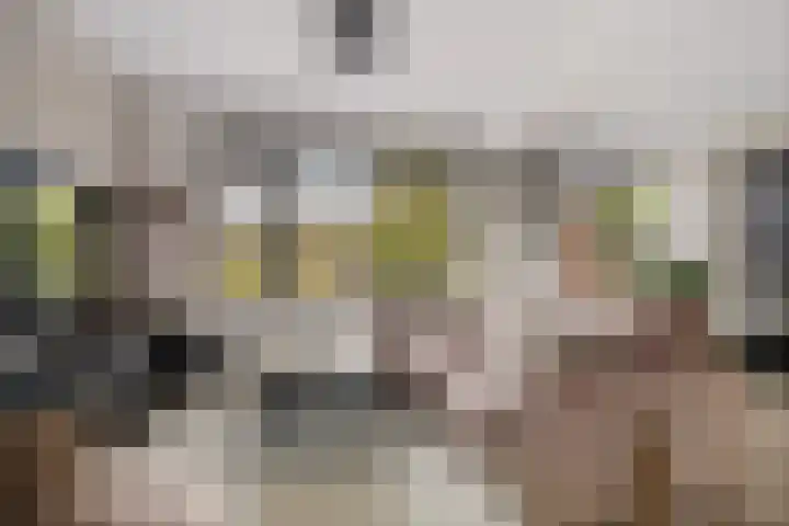 Botter 22 40 Lelystad thumbnail 14