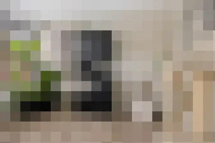 Botter 22 40 Lelystad thumbnail 15