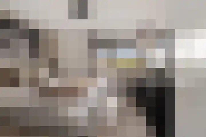 Botter 22 40 Lelystad thumbnail 18