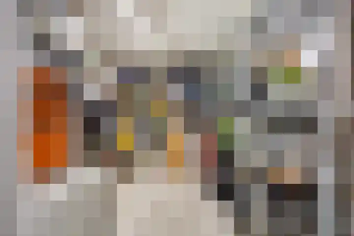 Botter 22 40 Lelystad thumbnail 33