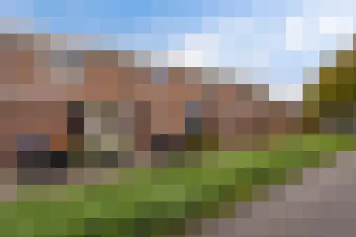 Botter 22 40 Lelystad thumbnail 34