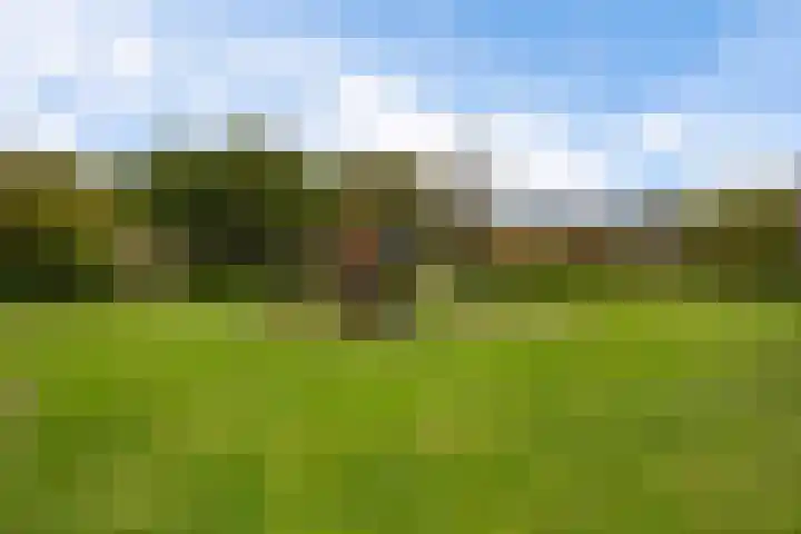 Botter 22 40 Lelystad thumbnail 35