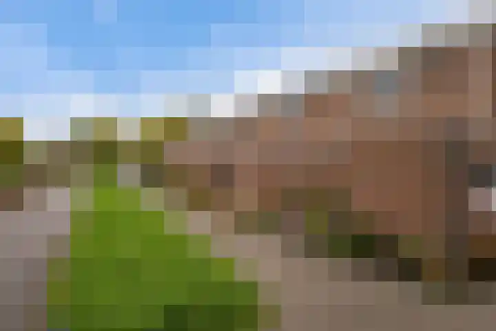 Botter 22 40 Lelystad thumbnail 4
