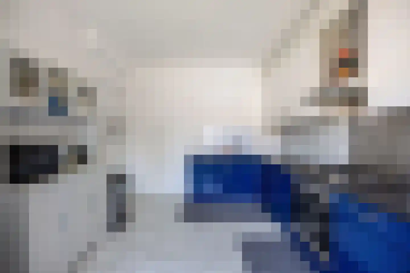 Botter 22 51 Lelystad thumbnail 22