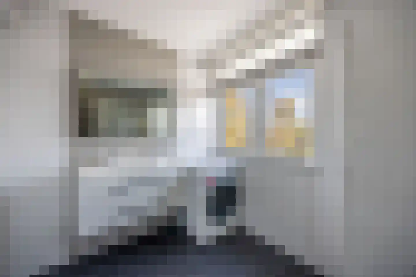Botter 22 51 Lelystad thumbnail 35