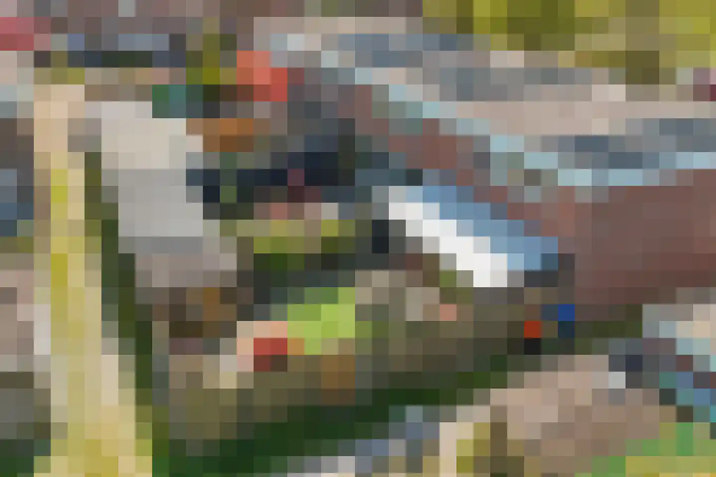 Botter 22 51 Lelystad thumbnail 47