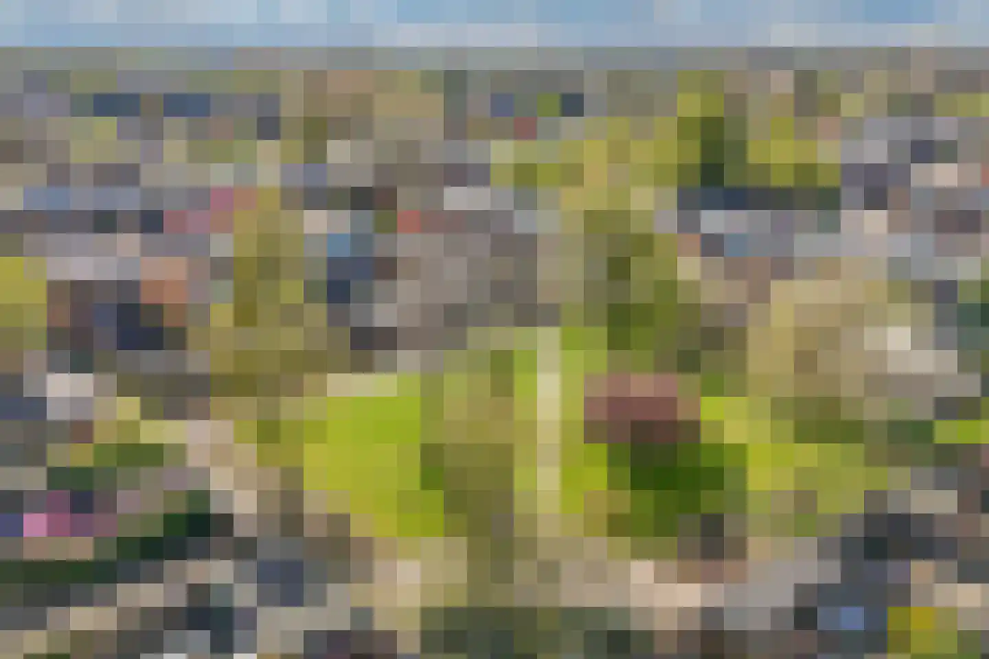Botter 22 51 Lelystad thumbnail 51