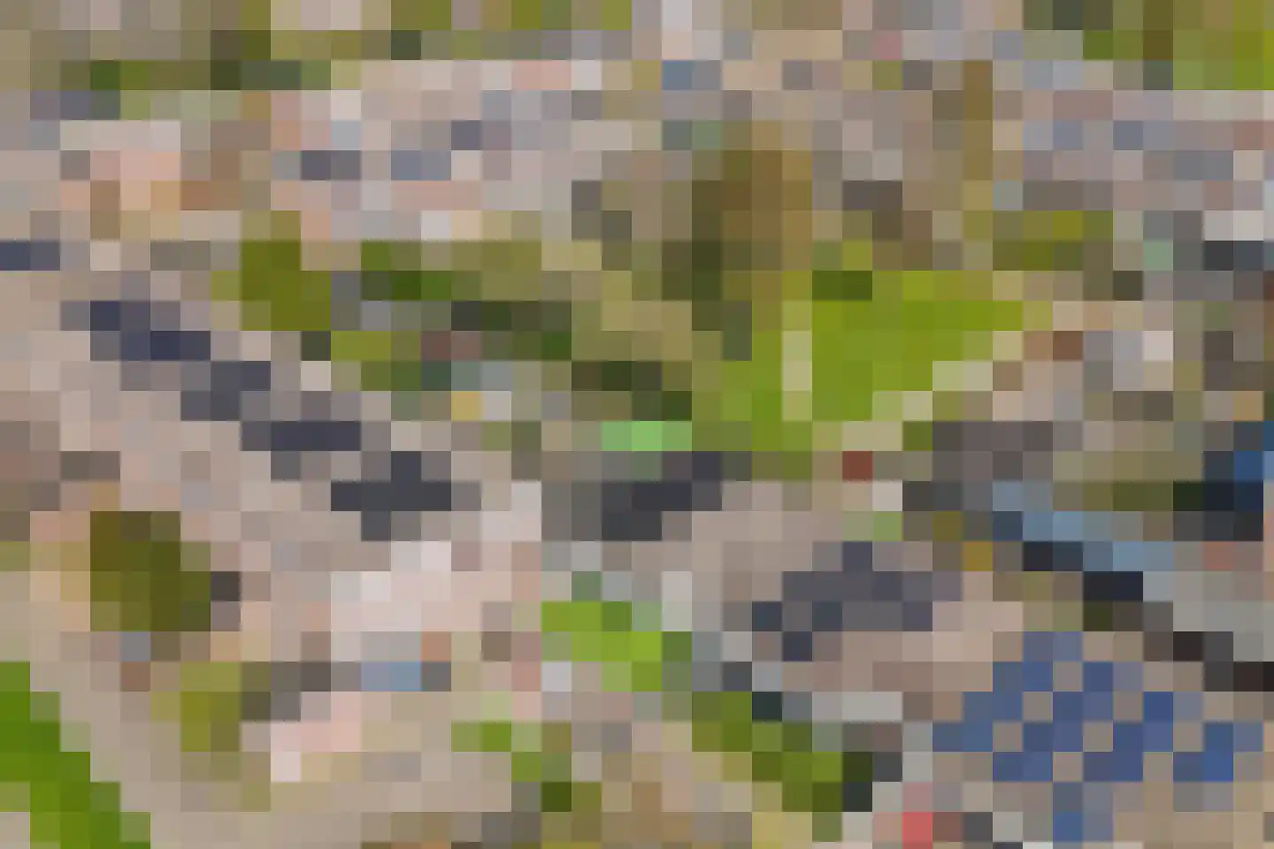 Botter 22 51 Lelystad thumbnail 54