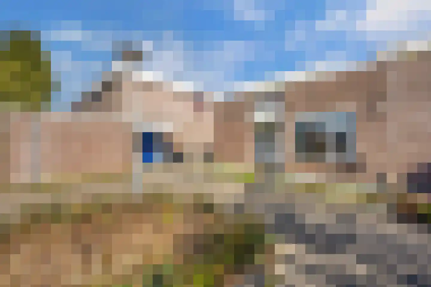 Botter 22 51 Lelystad thumbnail 7