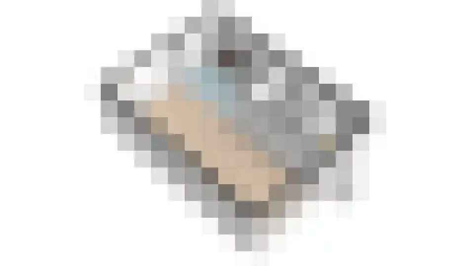 Botter 23 20 Lelystad thumbnail 51