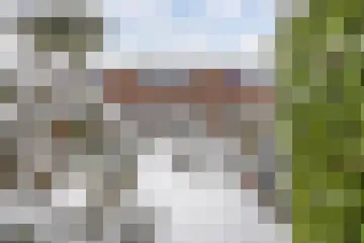 Botter 23 6 Lelystad thumbnail 18