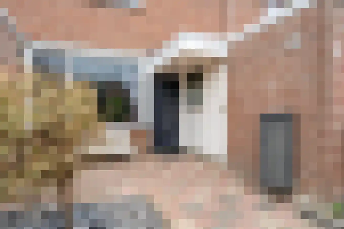 Botter 23 63 Lelystad thumbnail 8