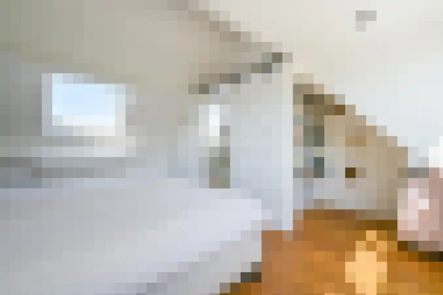 Botter 23 Zeewolde thumbnail 28