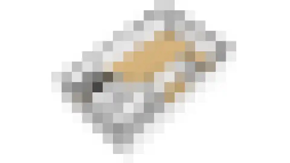 Botter 23 Zeewolde thumbnail 44
