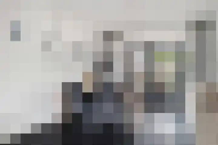 Botter 24 24 25 Lelystad thumbnail 10