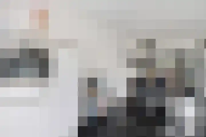 Botter 24 24 25 Lelystad thumbnail 12