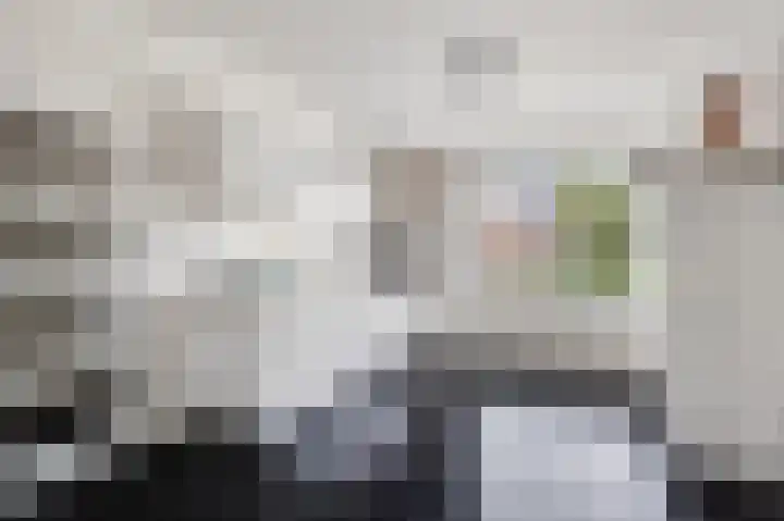 Botter 24 24 25 Lelystad thumbnail 13