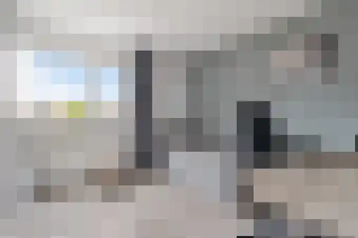 Botter 24 24 25 Lelystad thumbnail 17